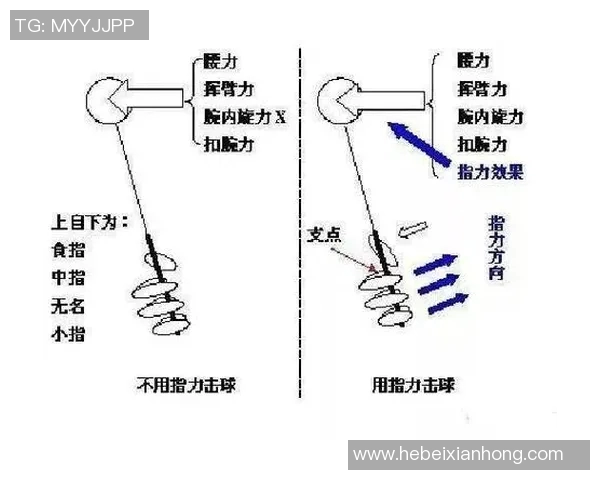 科学羽毛球技术训练的系统方法与实用技巧探讨